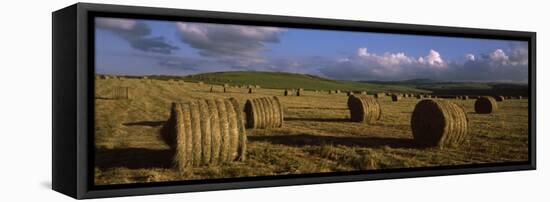 Hay Bales in a Field, Underberg, Kwazulu-Natal, South Africa-null-Framed Stretched Canvas