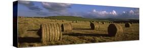 Hay Bales in a Field, Underberg, Kwazulu-Natal, South Africa-null-Stretched Canvas