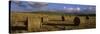 Hay Bales in a Field, Underberg, Kwazulu-Natal, South Africa-null-Stretched Canvas