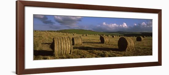 Hay Bales in a Field, Underberg, Kwazulu-Natal, South Africa-null-Framed Photographic Print