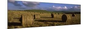 Hay Bales in a Field, Underberg, Kwazulu-Natal, South Africa-null-Mounted Photographic Print