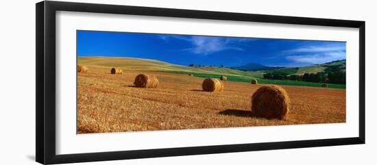 Hay Bales in a Field, Val D'Orcia, Siena Province, Tuscany, Italy-null-Framed Photographic Print