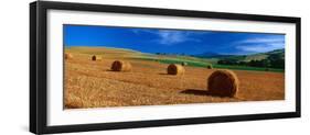 Hay Bales in a Field, Val D'Orcia, Siena Province, Tuscany, Italy-null-Framed Photographic Print