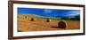 Hay Bales in a Field, Val D'Orcia, Siena Province, Tuscany, Italy-null-Framed Photographic Print