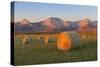 Hay Bales in a Field with the Rocky Mountains in the Background, Near Twin Butte, Alberta, Canada-Miles Ertman-Stretched Canvas