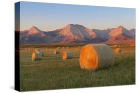 Hay Bales in a Field with the Rocky Mountains in the Background, Near Twin Butte, Alberta, Canada-Miles Ertman-Stretched Canvas