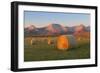 Hay Bales in a Field with the Rocky Mountains in the Background, Near Twin Butte, Alberta, Canada-Miles Ertman-Framed Photographic Print