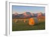 Hay Bales in a Field with the Rocky Mountains in the Background, Near Twin Butte, Alberta, Canada-Miles Ertman-Framed Photographic Print