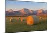 Hay Bales in a Field with the Rocky Mountains in the Background, Near Twin Butte, Alberta, Canada-Miles Ertman-Mounted Photographic Print