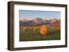 Hay Bales in a Field with the Rocky Mountains in the Background, Near Twin Butte, Alberta, Canada-Miles Ertman-Framed Photographic Print