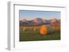 Hay Bales in a Field with the Rocky Mountains in the Background, Near Twin Butte, Alberta, Canada-Miles Ertman-Framed Photographic Print