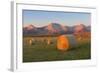 Hay Bales in a Field with the Rocky Mountains in the Background, Near Twin Butte, Alberta, Canada-Miles Ertman-Framed Photographic Print