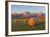 Hay Bales in a Field with the Rocky Mountains in the Background, Near Twin Butte, Alberta, Canada-Miles Ertman-Framed Photographic Print