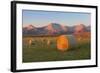 Hay Bales in a Field with the Rocky Mountains in the Background, Near Twin Butte, Alberta, Canada-Miles Ertman-Framed Photographic Print