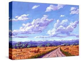 Hay Bales In Boulder County-Patty Baker-Stretched Canvas
