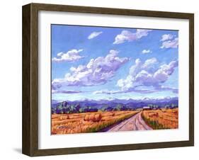 Hay Bales In Boulder County-Patty Baker-Framed Art Print