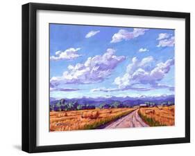 Hay Bales In Boulder County-Patty Baker-Framed Art Print