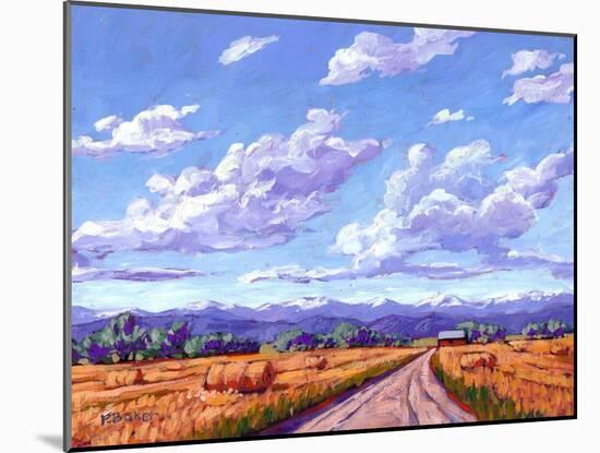 Hay Bales In Boulder County-Patty Baker-Mounted Art Print