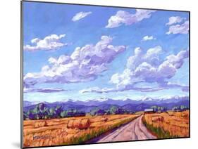 Hay Bales In Boulder County-Patty Baker-Mounted Art Print