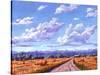 Hay Bales In Boulder County-Patty Baker-Stretched Canvas