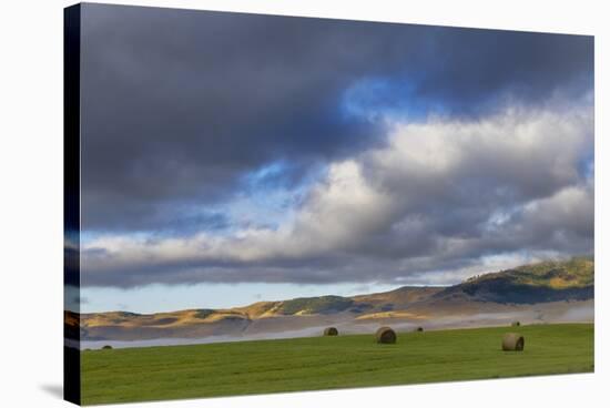 Hay bales in clearing fog with Salish Mountains in Lake County, Montana, USA-Chuck Haney-Stretched Canvas