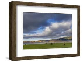 Hay bales in clearing fog with Salish Mountains in Lake County, Montana, USA-Chuck Haney-Framed Photographic Print