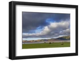 Hay bales in clearing fog with Salish Mountains in Lake County, Montana, USA-Chuck Haney-Framed Photographic Print