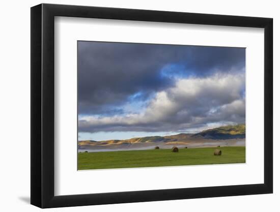 Hay bales in clearing fog with Salish Mountains in Lake County, Montana, USA-Chuck Haney-Framed Photographic Print