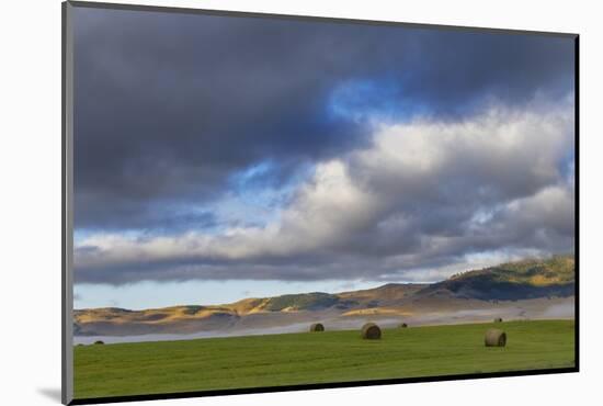 Hay bales in clearing fog with Salish Mountains in Lake County, Montana, USA-Chuck Haney-Mounted Photographic Print