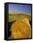 Hay Bales in Field, Palouse, Washington, USA-Terry Eggers-Framed Stretched Canvas
