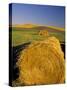 Hay Bales in Field, Palouse, Washington, USA-Terry Eggers-Stretched Canvas