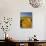 Hay Bales in Field, Palouse, Washington, USA-Terry Eggers-Stretched Canvas displayed on a wall