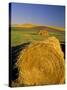 Hay Bales in Field, Palouse, Washington, USA-Terry Eggers-Stretched Canvas