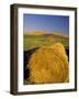 Hay Bales in Field, Palouse, Washington, USA-Terry Eggers-Framed Photographic Print