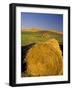 Hay Bales in Field, Palouse, Washington, USA-Terry Eggers-Framed Photographic Print