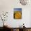 Hay Bales in Field, Palouse, Washington, USA-Terry Eggers-Photographic Print displayed on a wall