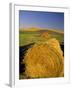 Hay Bales in Field, Palouse, Washington, USA-Terry Eggers-Framed Photographic Print