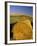 Hay Bales in Field, Palouse, Washington, USA-Terry Eggers-Framed Photographic Print