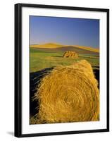 Hay Bales in Field, Palouse, Washington, USA-Terry Eggers-Framed Photographic Print