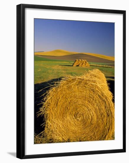 Hay Bales in Field, Palouse, Washington, USA-Terry Eggers-Framed Photographic Print