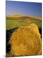 Hay Bales in Field, Palouse, Washington, USA-Terry Eggers-Mounted Photographic Print