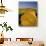 Hay Bales in Field, Palouse, Washington, USA-Terry Eggers-Photographic Print displayed on a wall