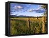 Hay Bales in Field, Whitefish, Montana, USA-Chuck Haney-Framed Stretched Canvas