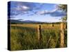 Hay Bales in Field, Whitefish, Montana, USA-Chuck Haney-Stretched Canvas