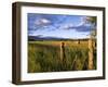 Hay Bales in Field, Whitefish, Montana, USA-Chuck Haney-Framed Photographic Print