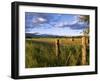 Hay Bales in Field, Whitefish, Montana, USA-Chuck Haney-Framed Photographic Print