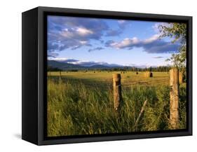 Hay Bales in Field, Whitefish, Montana, USA-Chuck Haney-Framed Stretched Canvas