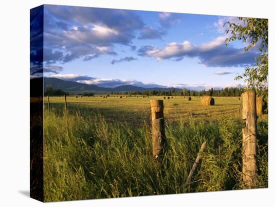 Hay Bales in Field, Whitefish, Montana, USA-Chuck Haney-Stretched Canvas