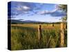 Hay Bales in Field, Whitefish, Montana, USA-Chuck Haney-Stretched Canvas