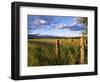 Hay Bales in Field, Whitefish, Montana, USA-Chuck Haney-Framed Photographic Print